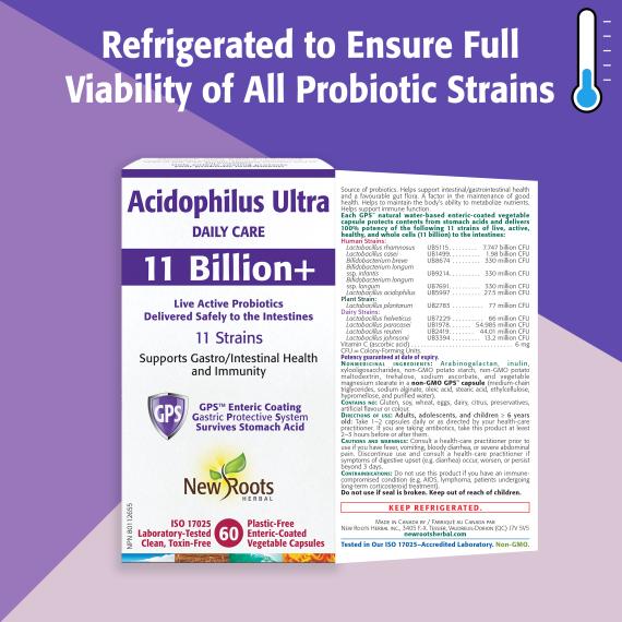 Acidophilus Ultra 11 Billion+